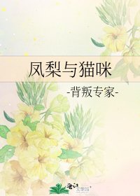《鳳梨與貓咪》