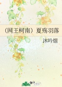 《(網王柯南)夏殤羽落》