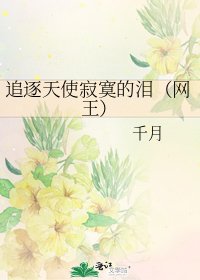 《追逐天使寂寞的淚(網王)》