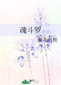 《魂斗罗》