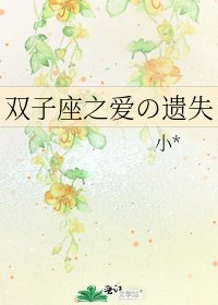 《雙子座之愛の遺失》