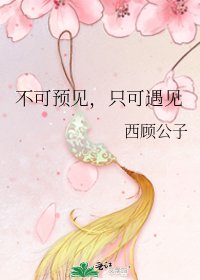 《不可预见,只可遇见》