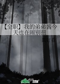《【全職】我的弟弟醬今天也在鬧彆扭》