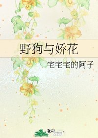 《野狗與嬌花》