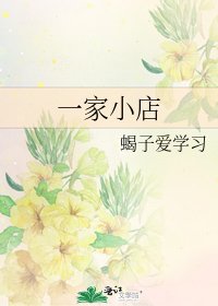《一家小店》