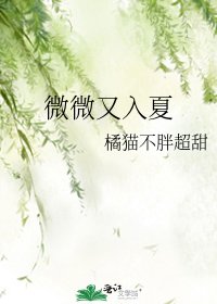 《微微又入夏》