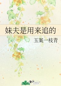 《妹夫是用来追的》