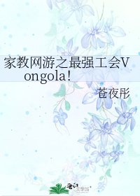 《家教网游之最强工会Vongola!》