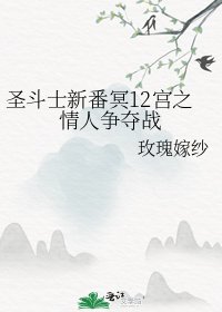 《聖鬥士新番冥12宮之情人爭奪戰》