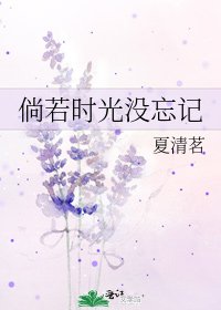 《倘若時光沒忘記》