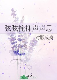 《弦弦掩抑聲聲思》