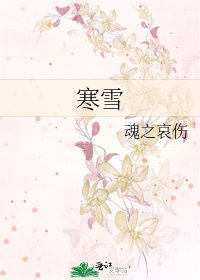 《寒雪》