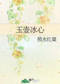 《玉壺冰心》