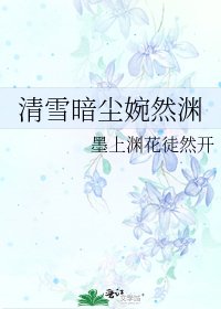 《清雪暗塵婉然淵》