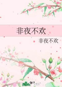 《非夜不歡》