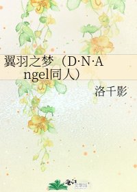 《翼羽之夢(D·N·Angel同人)》
