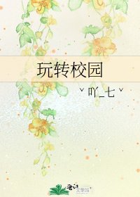 《玩转校园》