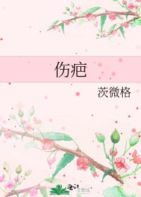 《伤疤》