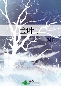 《金葉子》