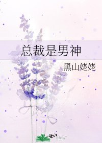 《总裁是男神》