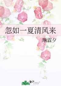 《忽如一夏清風來》