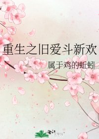 《重生之旧爱斗新欢》