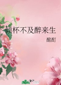 《倾杯不及醉来生》