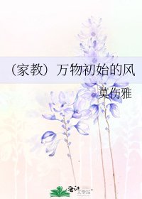 《(家教)万物初始的风》