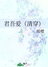 《君吾愛(清穿)》