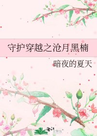 《守护穿越之沧月黑楠》
