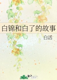 《白锦和白了的故事》