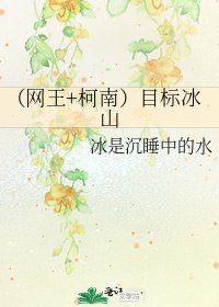 《(网王+柯南)目标冰山》