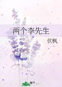 《兩個李先生》