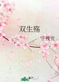 《双生殇》