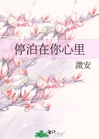 《停泊在你心裡》