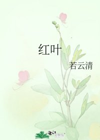 《紅葉》