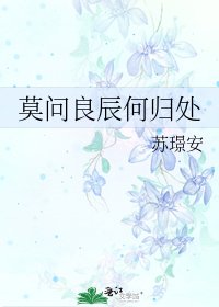 《莫问良辰何归处》
