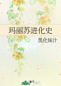 《玛丽苏进化史》