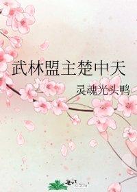 《武林盟主楚中天》