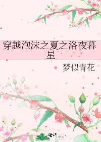 《穿越泡沫之夏之洛夜暮星》