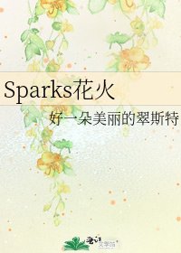 《Sparks花火》