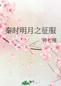 《秦時明月之徵服》