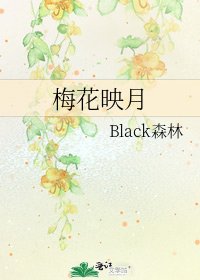 《梅花映月》