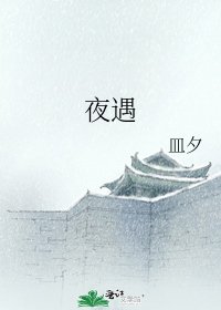 《夜遇》