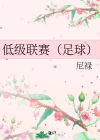 《低階聯賽(足球)》