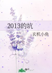 《2013的坑》