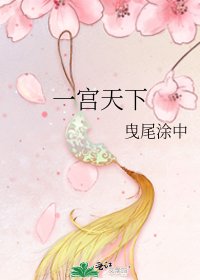 《一宫天下》