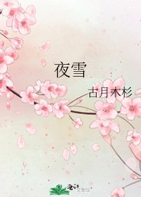 《夜雪》