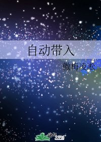 《自动带入》
