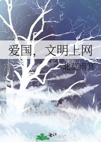 《愛國,文明上網》